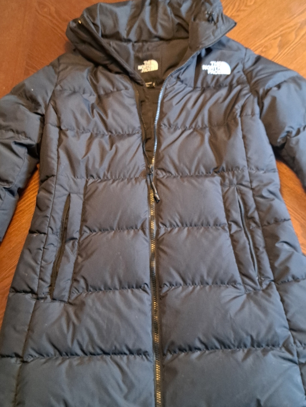The North Face Black Long Puffer Coat with Hood